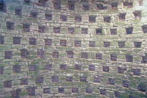 Ballybeg Augustinian Priory