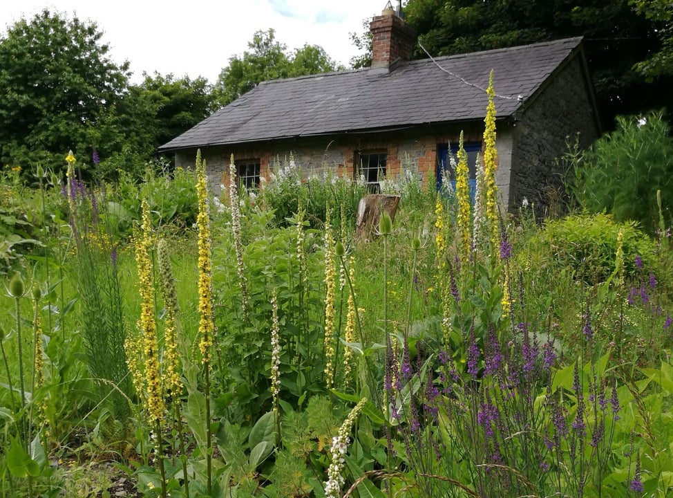The Herb School cottage in the countryside with tall wild plants around it