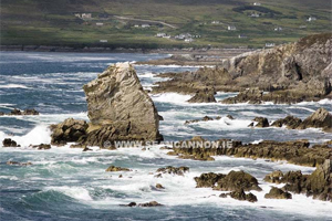 The Western Light Art Gallery