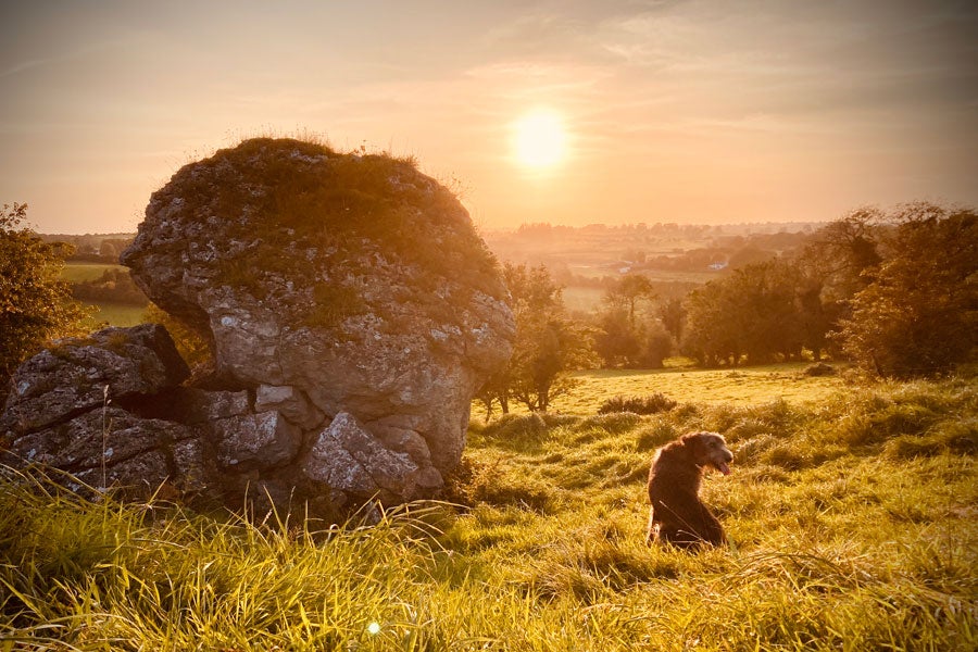 Visit The Hill of Uisneach with Discover Ireland