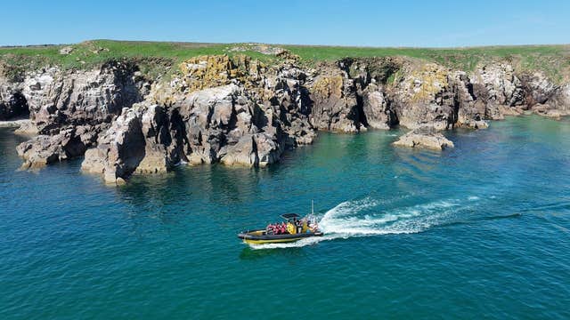 Saltee Sea Safaris