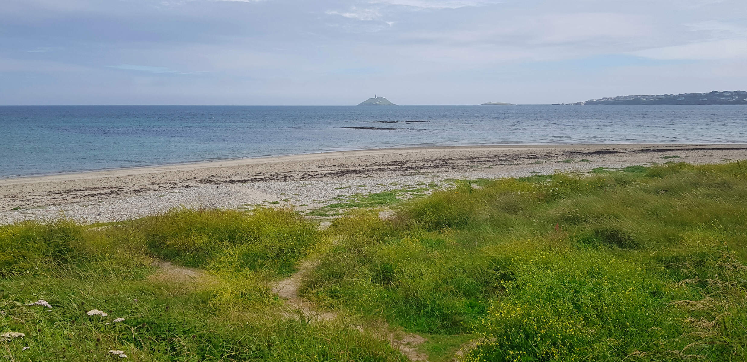Grassy foreground with sand and sea in the background