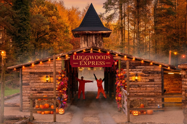 Luggwoods Fall Festival 2026, Dublin