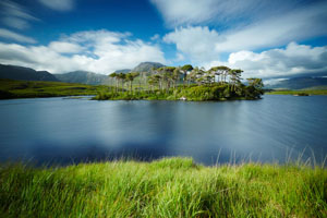 Chauffeur Tours of Ireland