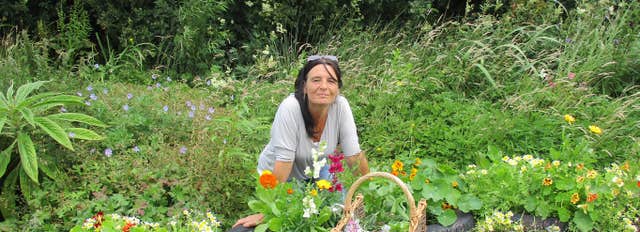 Irish Herbal Roots