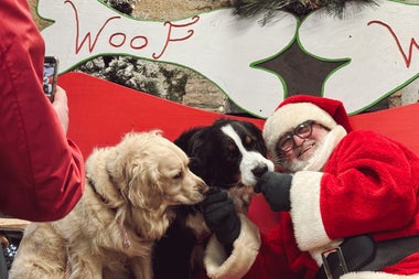 Santa Paws at Newbridge House & Farm