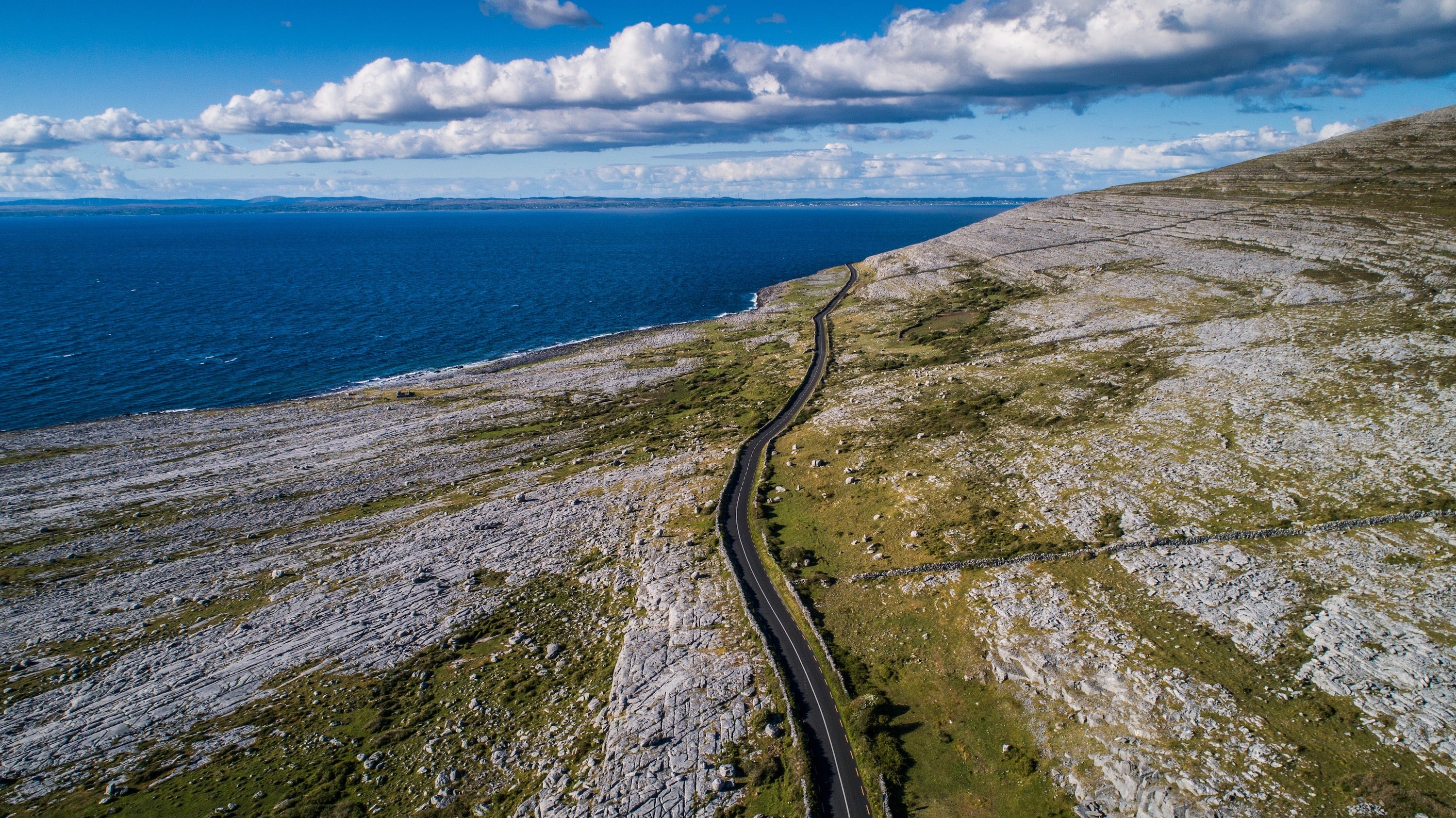 Aerial image of the Black Head Looped Walk route.