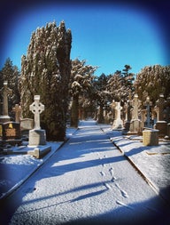 Pathway in Glasnevin during winter snow.