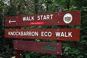 Knockbarron Wood Eco Walk