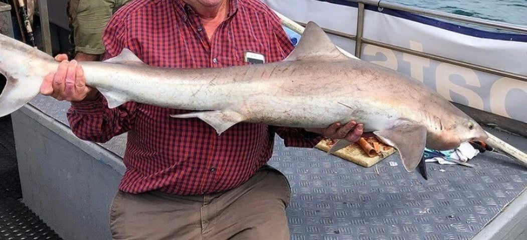 Man holding a swordfish
