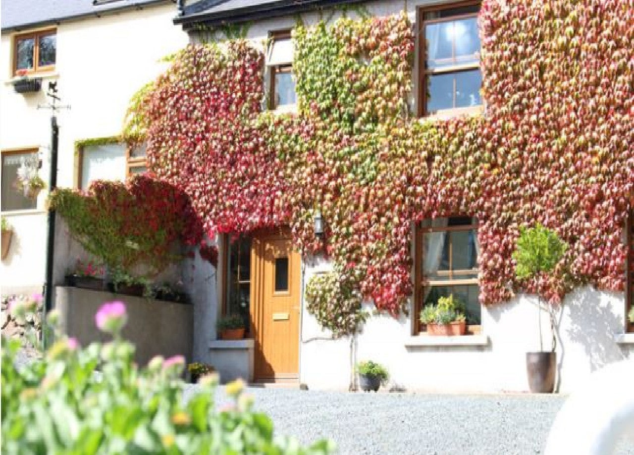 Front view of cottage