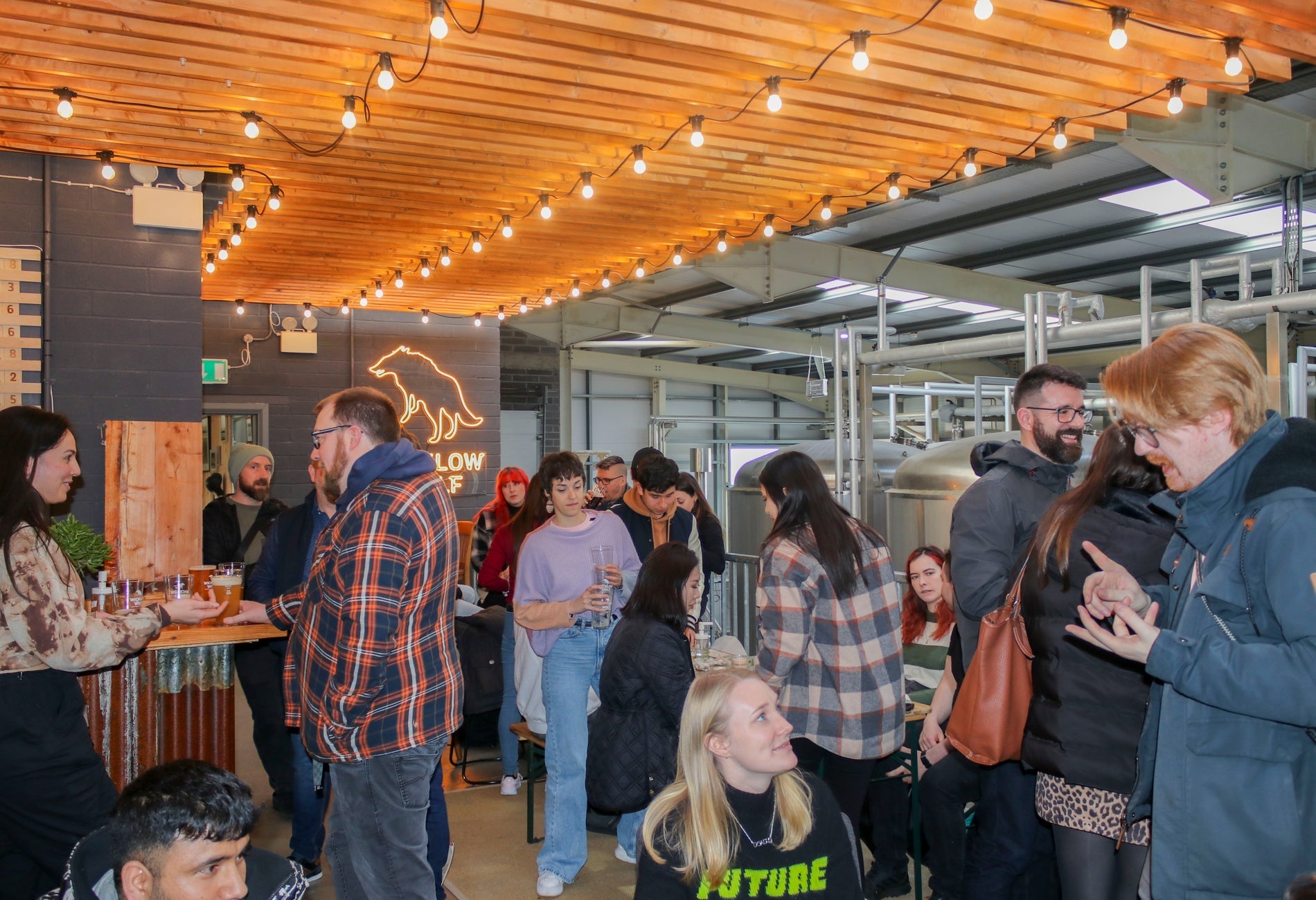 People enjoying a guided tour and beer tasting at Wicklow Wolf Brewery & Taproom