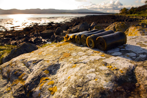 Image of seaweed on rocks