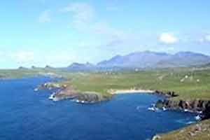 Corcoran Tours