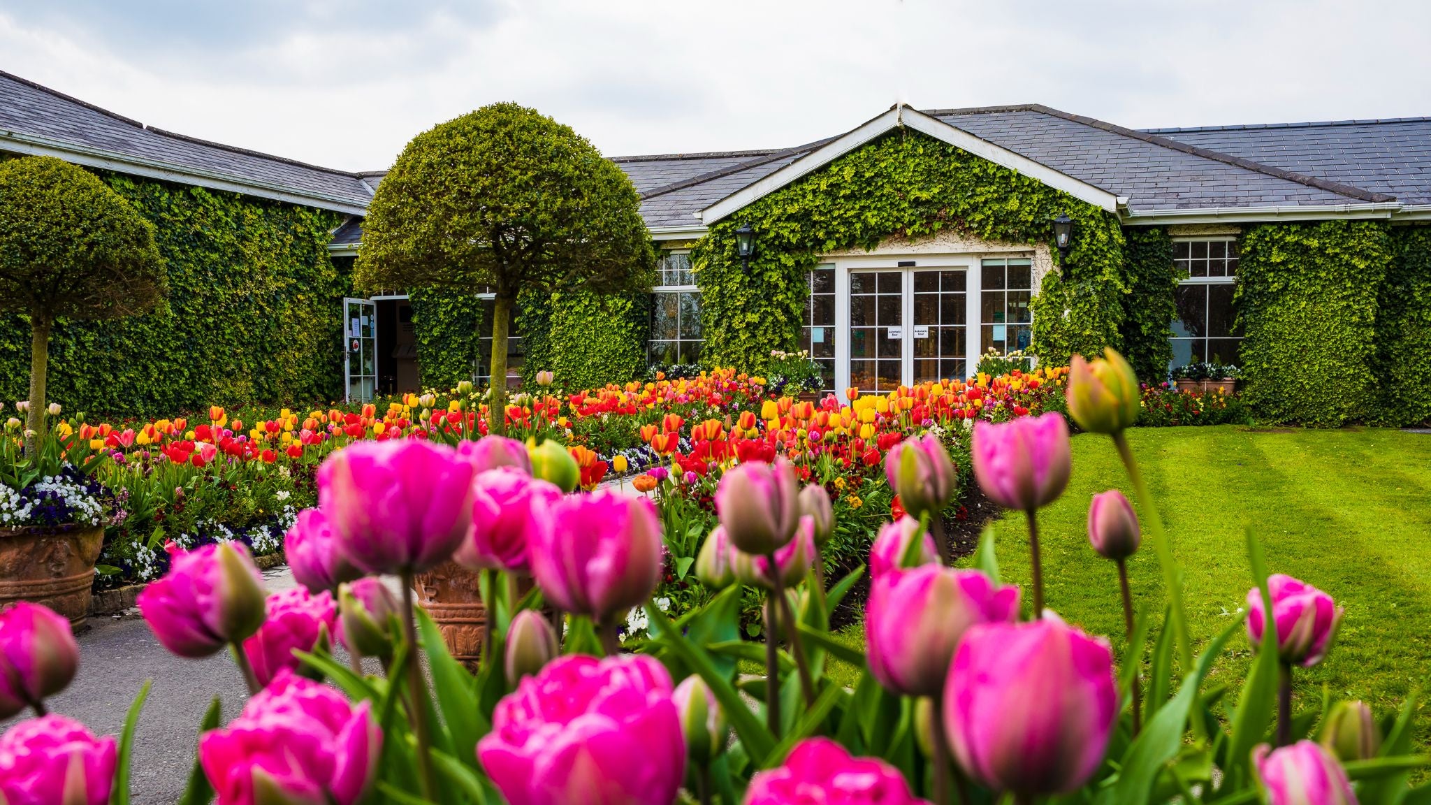View of garden and property