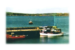 Sherkin Island Ferry