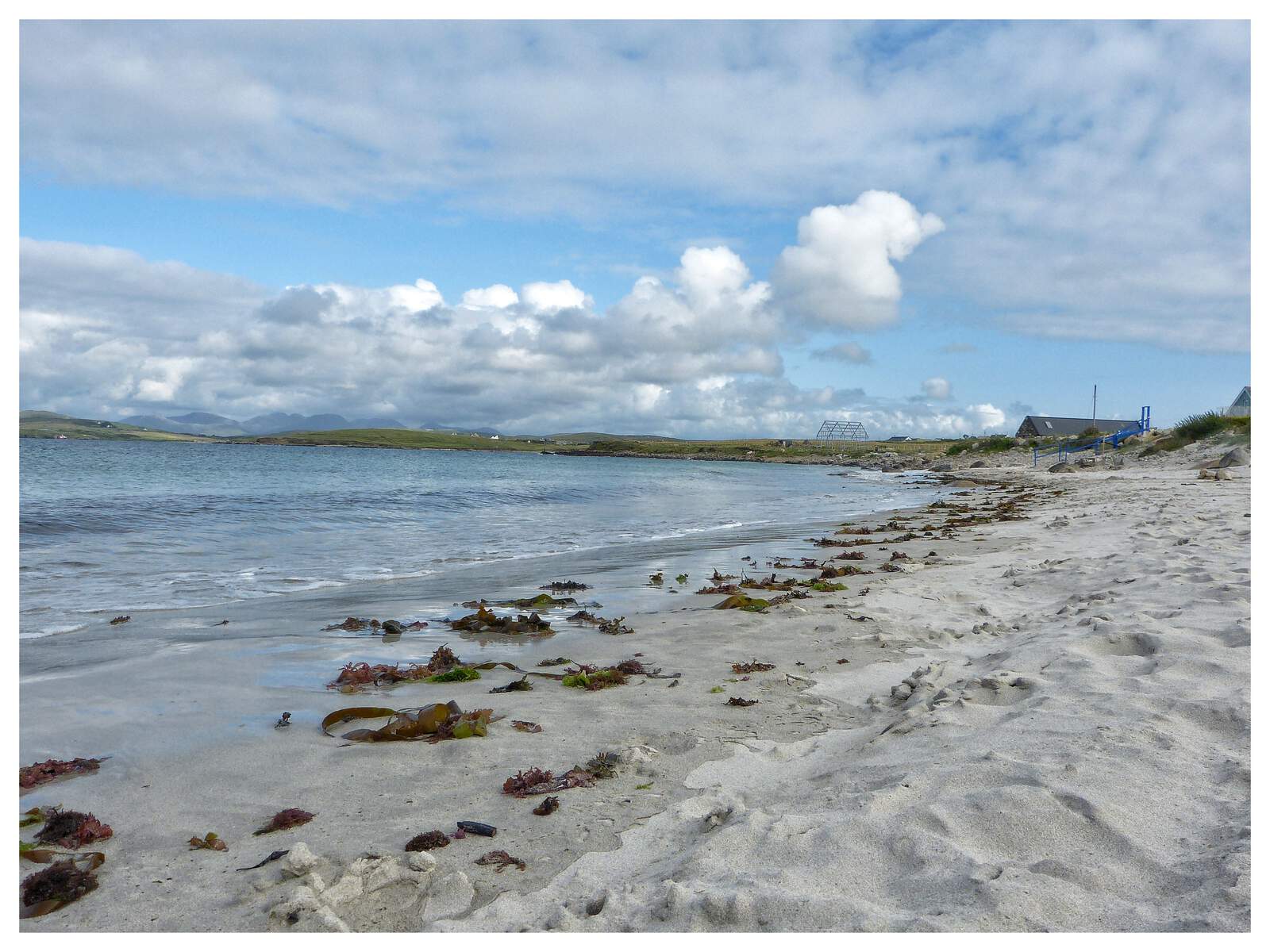 Sand with seaweed and water with a cloudy sky