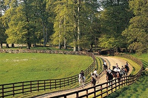 Ravensdale Lodge, Equestrian & Trekking Centre