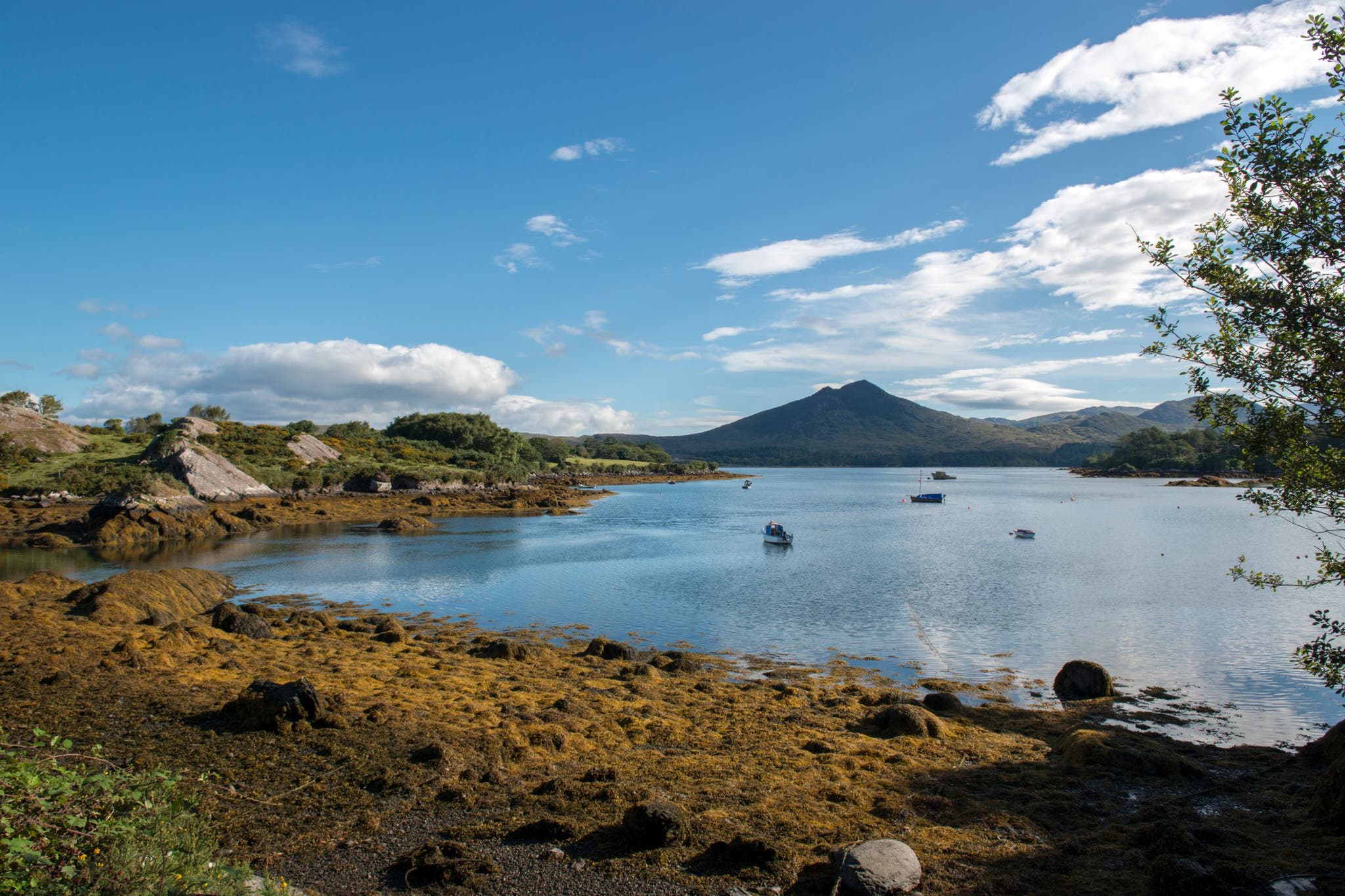 Complete The Great Irish Bucket List with Discover Ireland