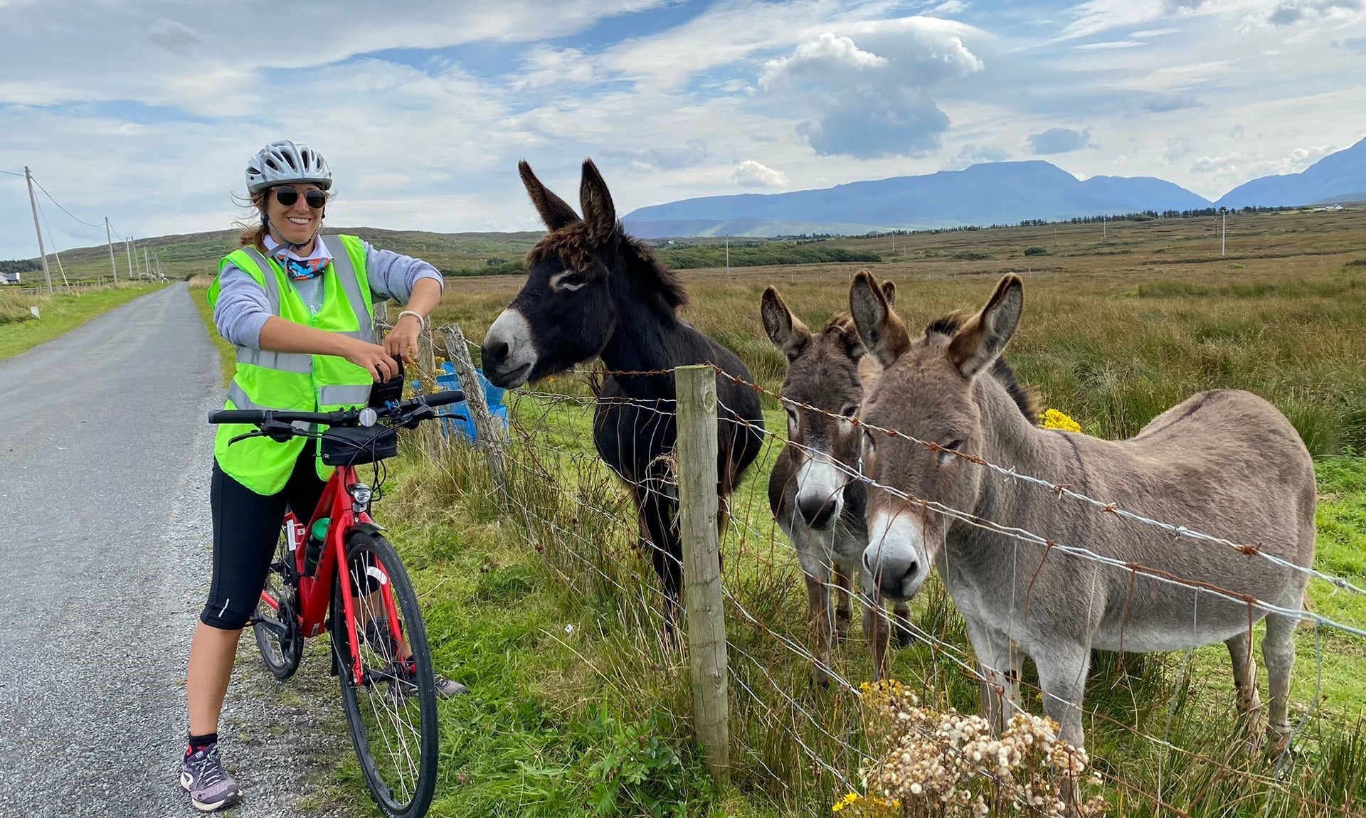 Lady on a bike standing next to two donkeys in a field