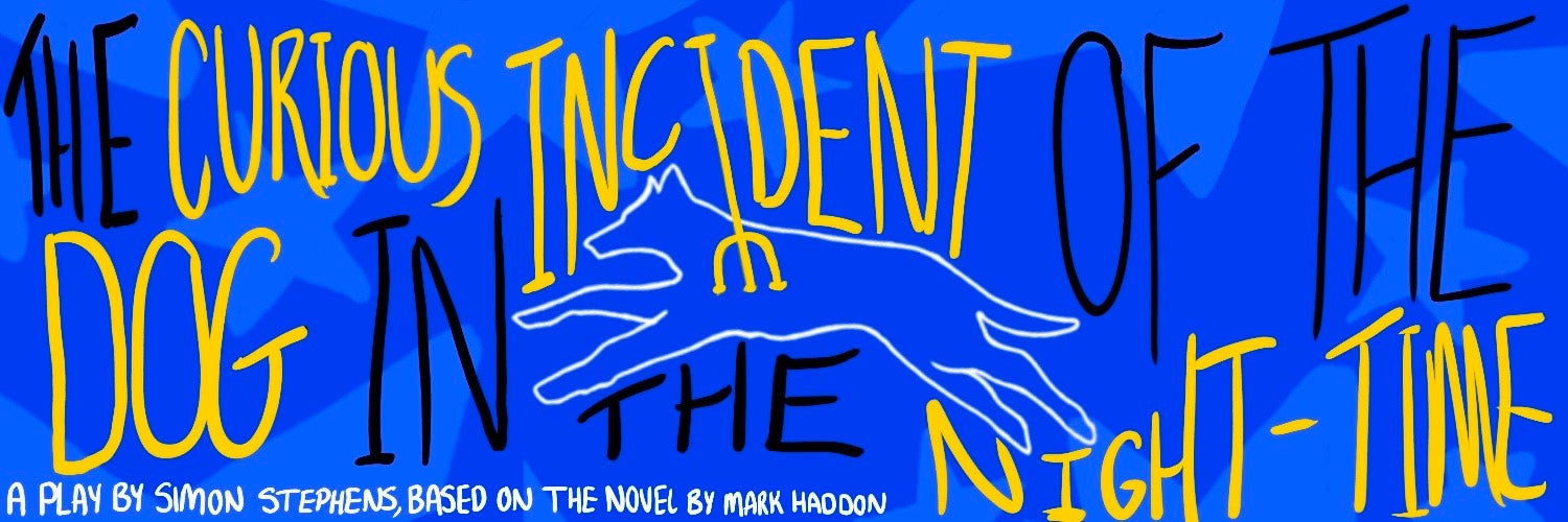 The Curious Incident of the Dog in the Night-Time