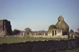 Abbeyshrule Cistercian Abbey