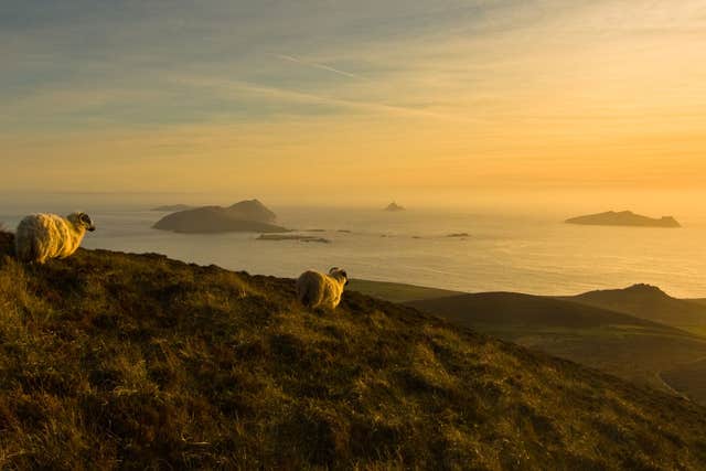 An Blascaod Mór - the Blasket Islands