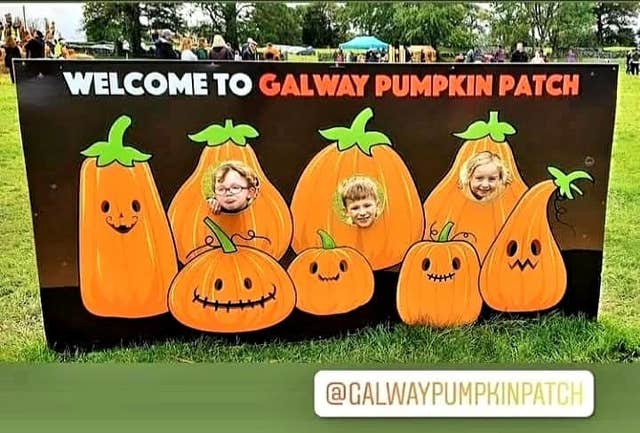 Galway Pumpkin Patch 2026
