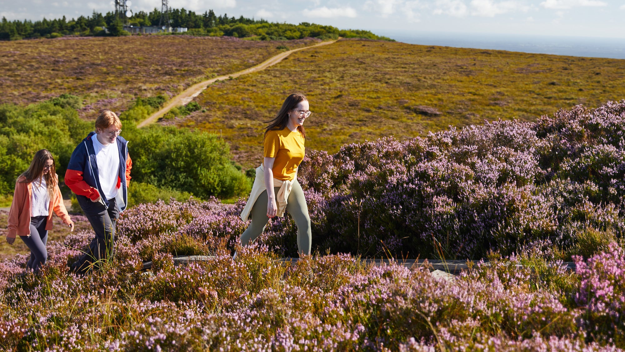 Hikers on the Ridge of Capard in Slieve Bloom, Co Laois