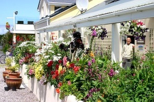 Mannix Point Camping and Caravan Park