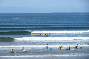 Fin McCool Surf School