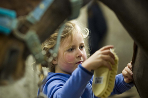 Calliaghstown Equestrian Centre