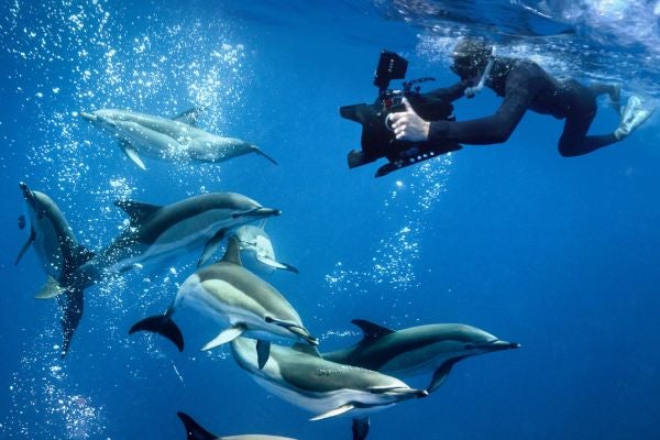 Ken O'Sullivan: Stories from the Sea