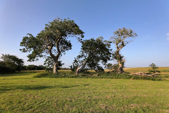 Rinville Park