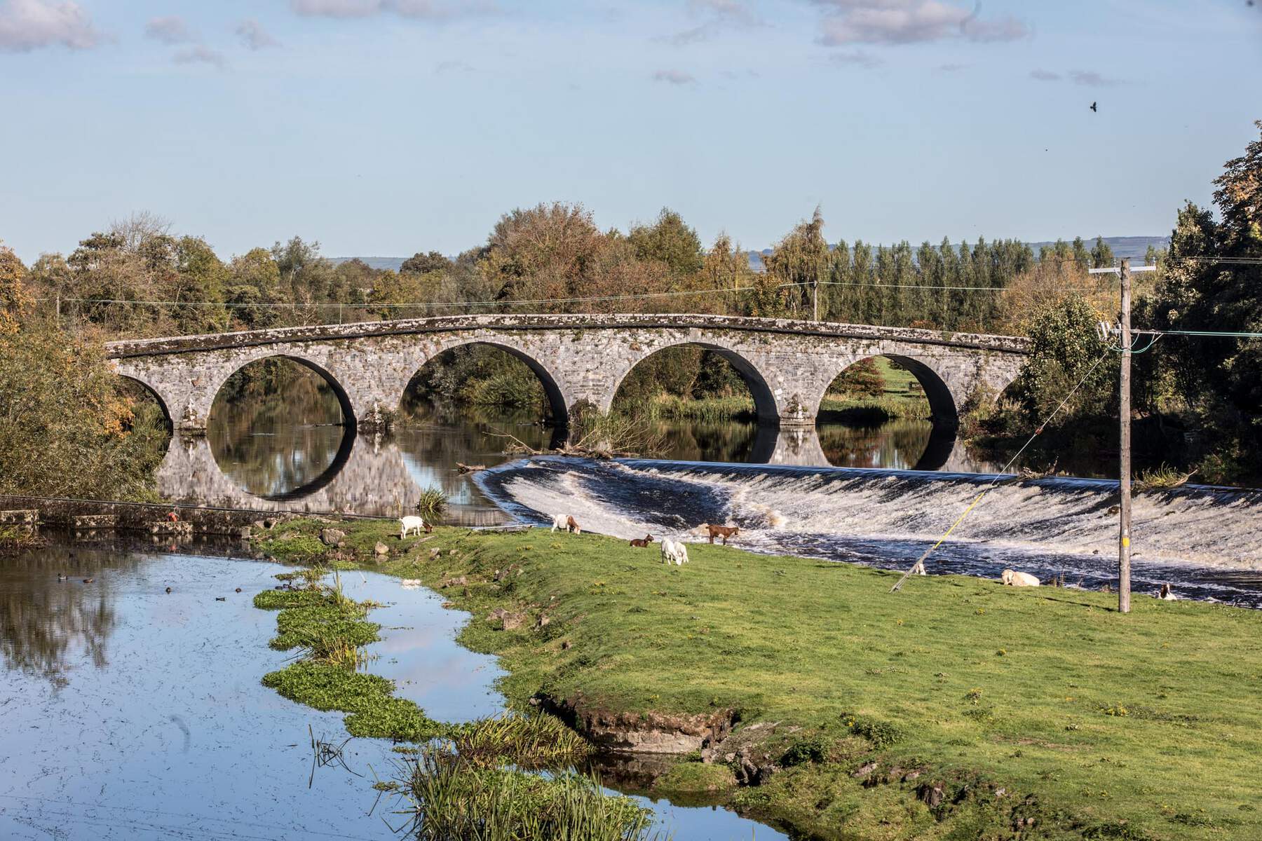 Bridge over a river with six arches