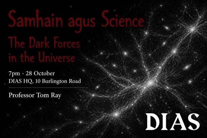 This is the poster for this event