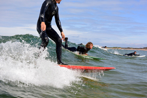 Image of surfers on boards