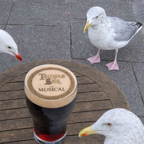A pint of stout on  round table outdoors being watched by 3 large seagulls.