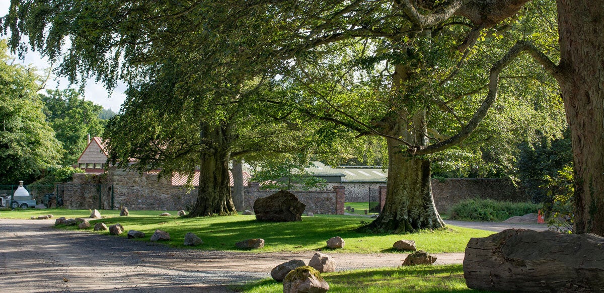 Belmont Demesne Walled Garden