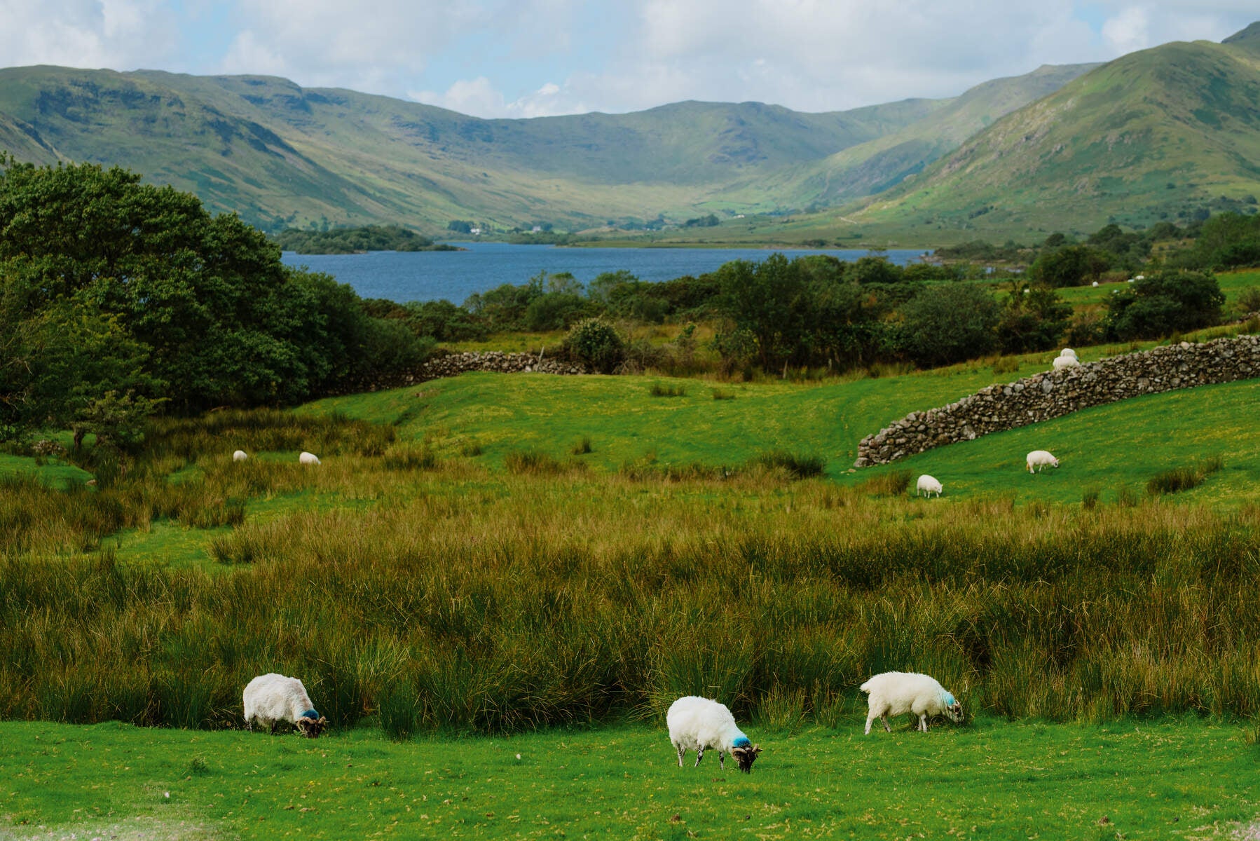 Roam the glacial shores of Lough Nafooey.