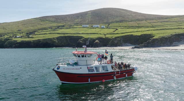 Dingle Dolphin Boat Tours
