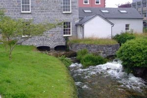 Walk and Talk Tour of Galway City