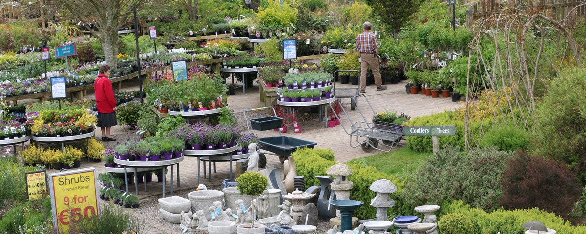 Outdoors at Beechdale Garden Centre Clonroche County Wexford