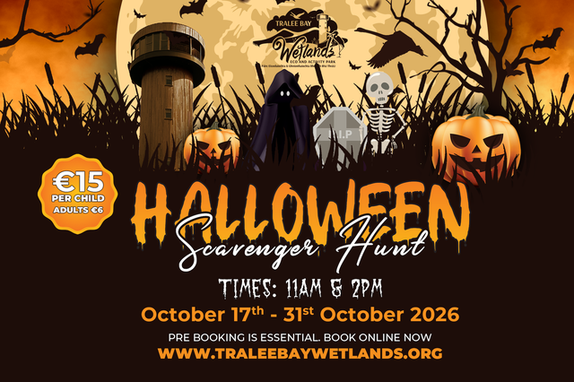 Halloween Scavenger Hunt, Kerry