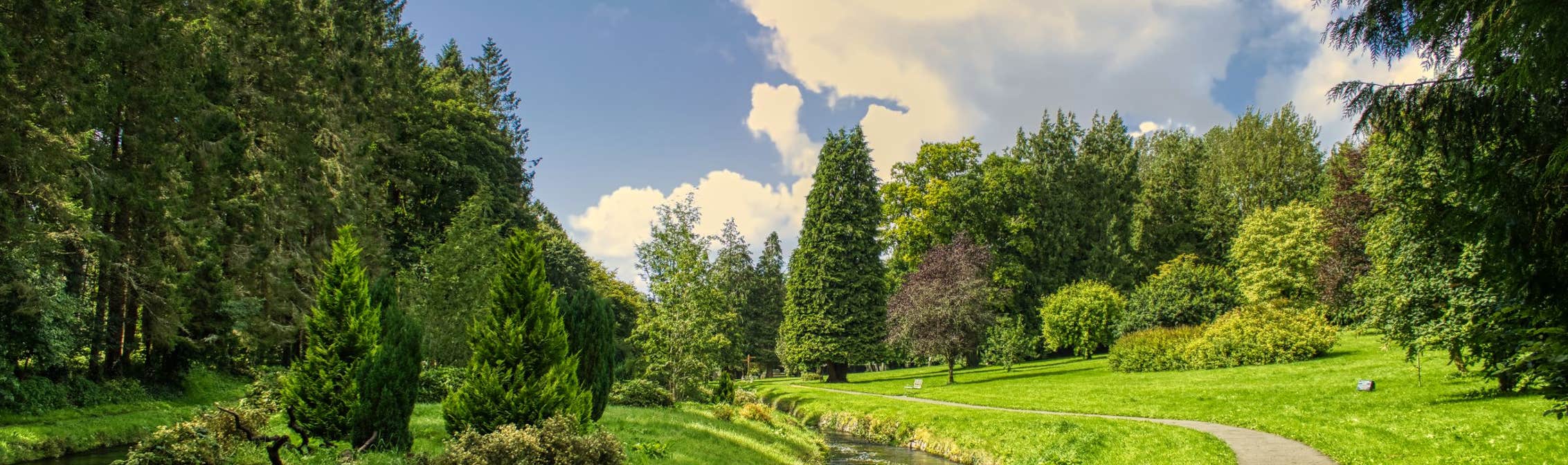 Experience Charming Castlerea with Discover Ireland