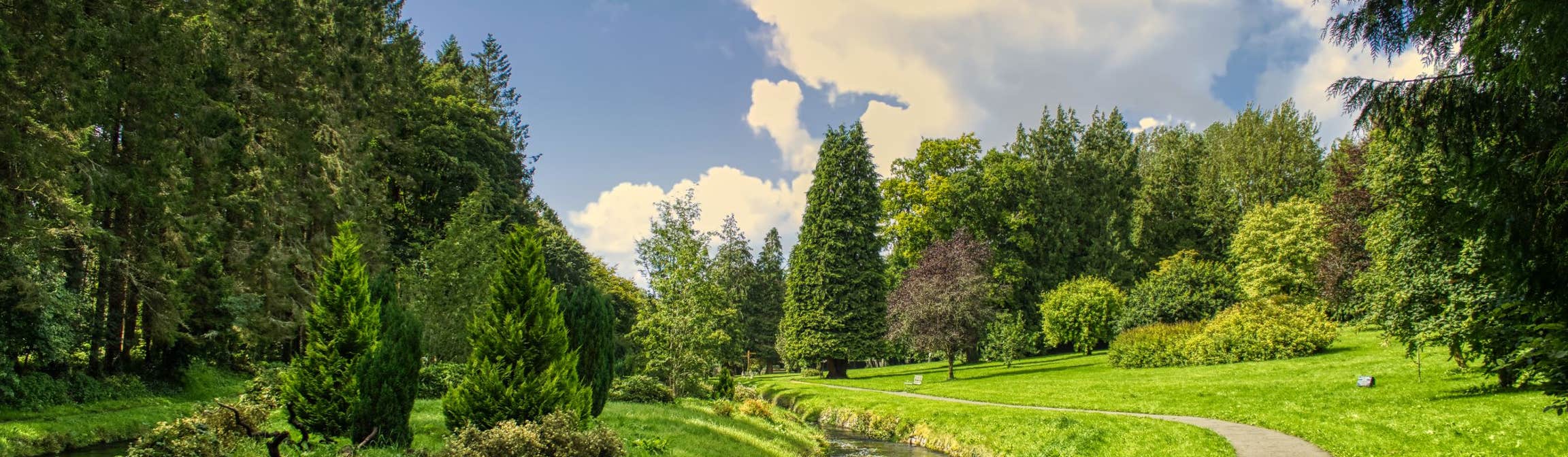 Experience Charming Castlerea with Discover Ireland