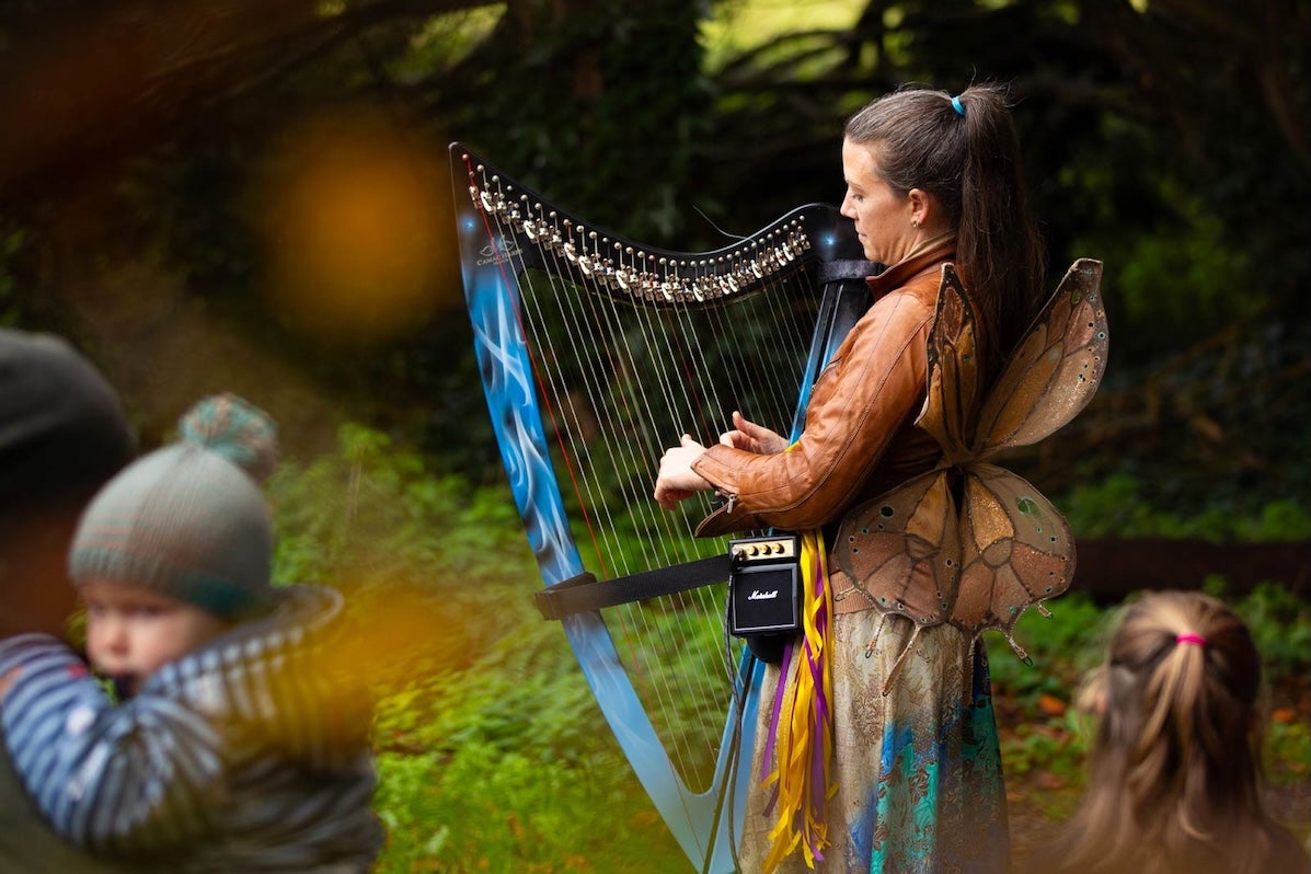 King of the Fairies and his Magic Harp, a woman in leather jacket and wings is playing a blue harp.