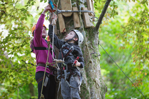 Image of tree climbers