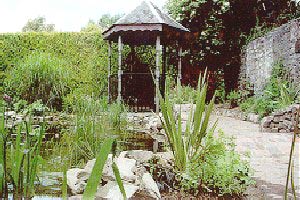 The Watergarden Garden Centre