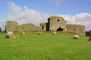 Ballymoon Castle